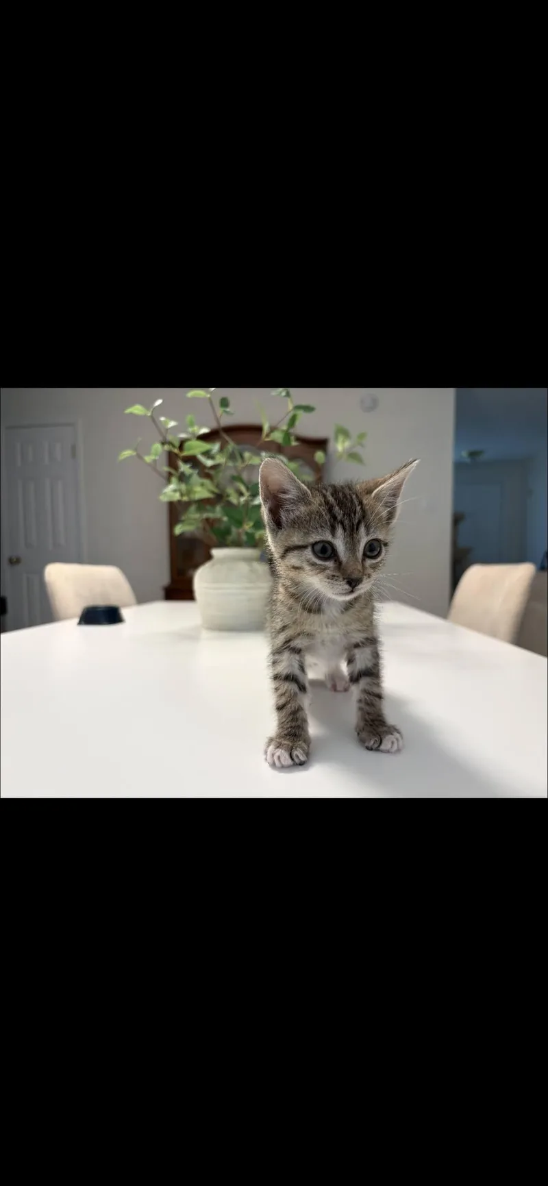 Emily thumbnail 3