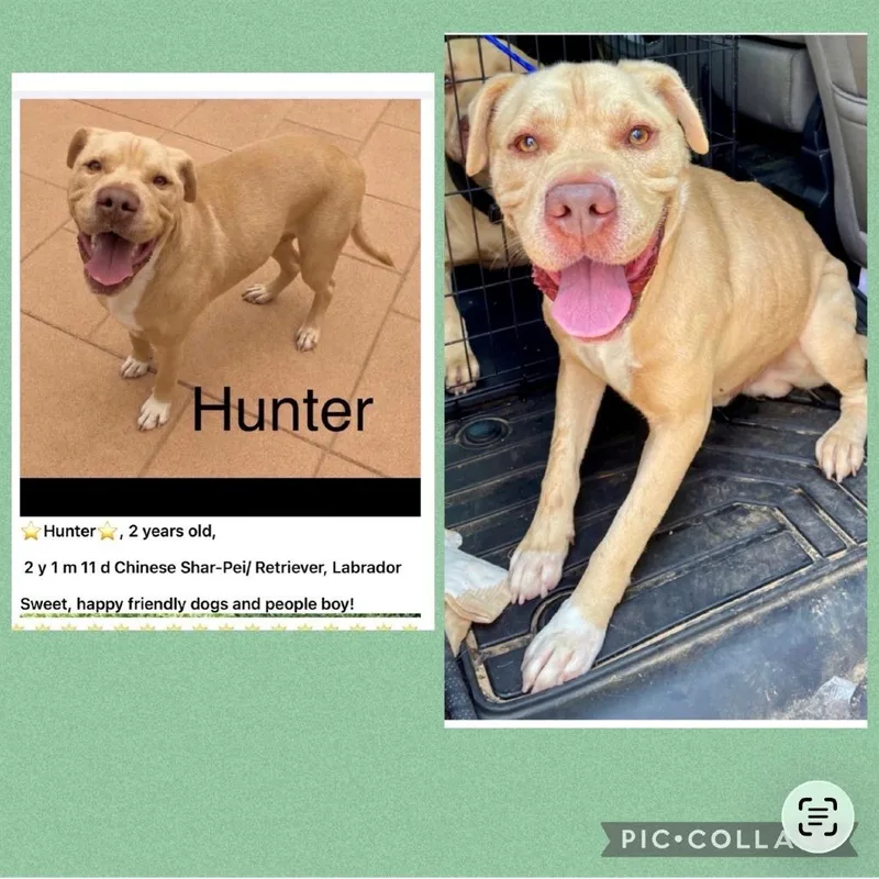 Hunter thumbnail 3