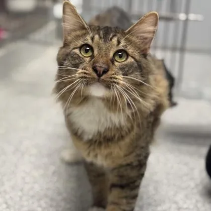 Sebastian thumbnail 3