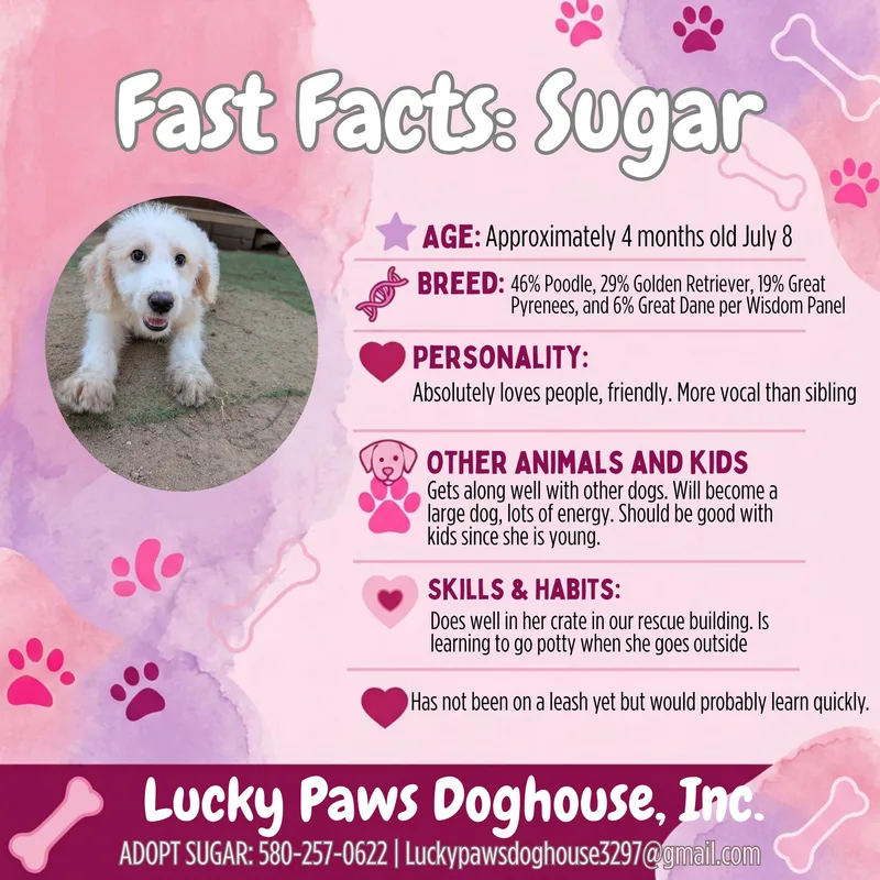 Sugar thumbnail 2