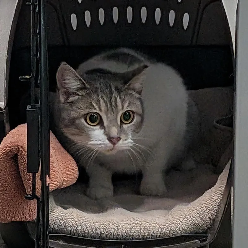 Gracie Mae thumbnail 3