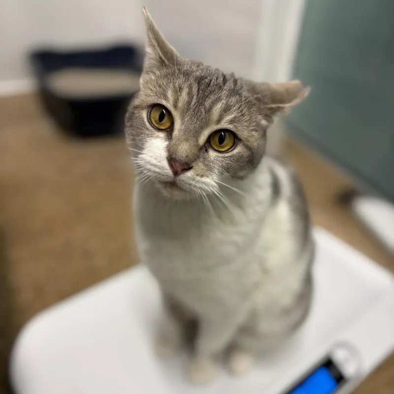 Gracie Mae thumbnail 5