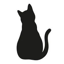 An adult medium-sized female Cream / Ivory Domestic Short Hair cat named Yayo for adoption in Lake Jackson, TX