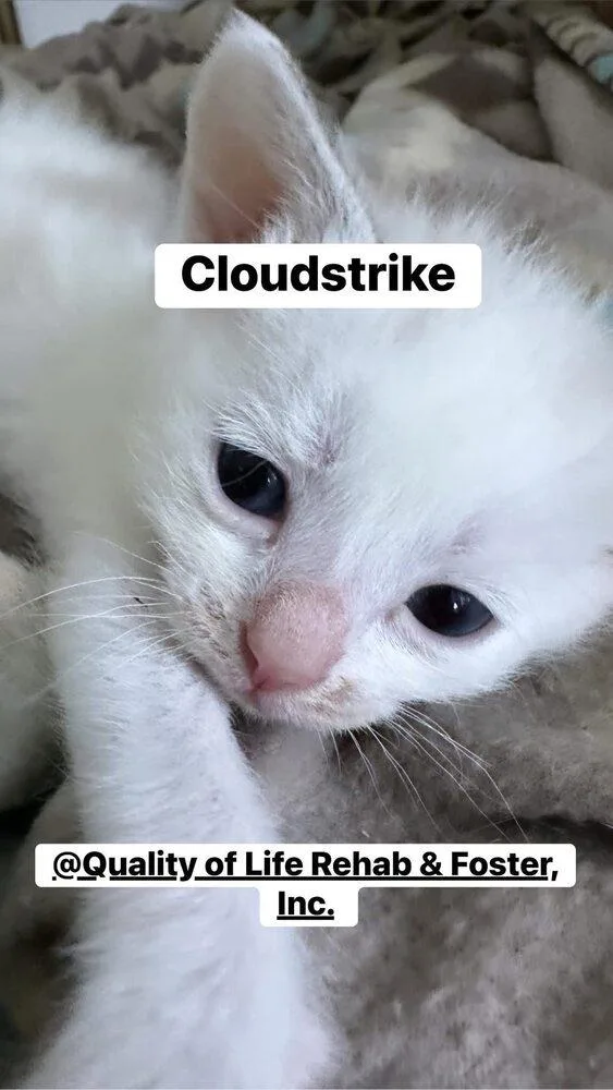 Cloudstrike thumbnail 3