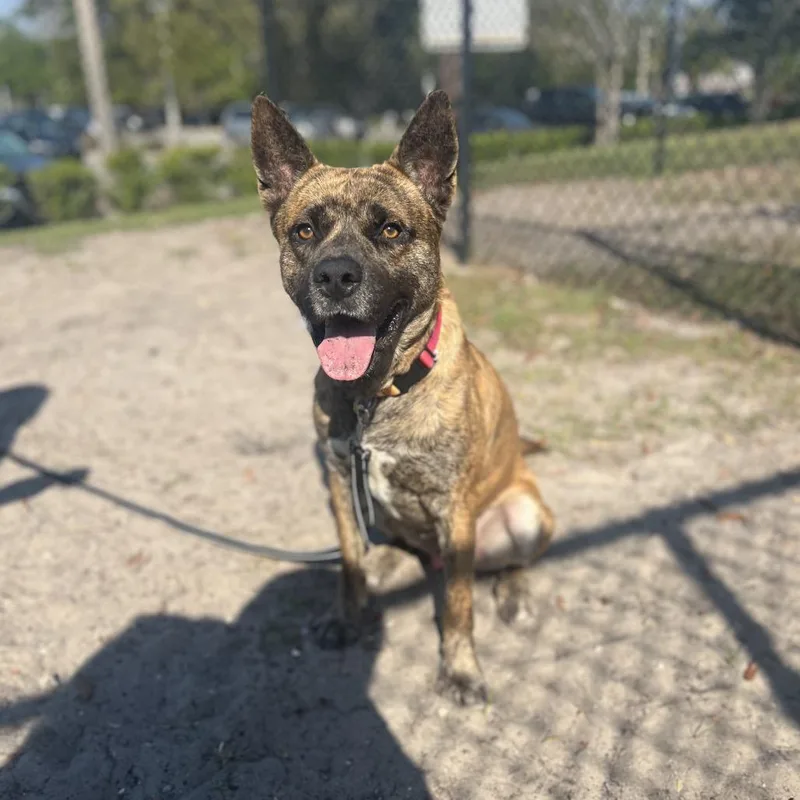 Prince Charming thumbnail 2