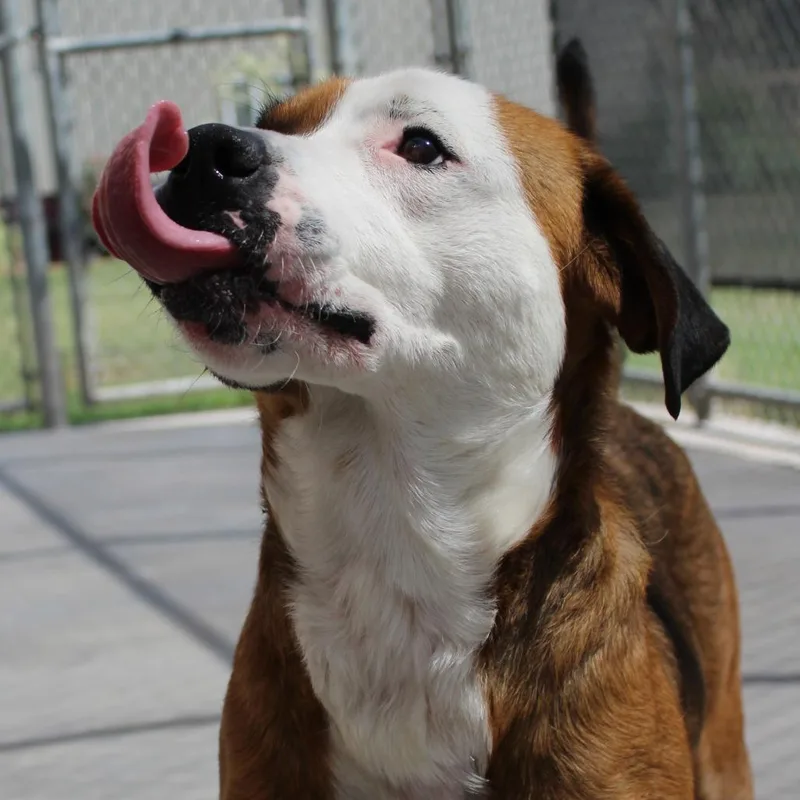 Nala thumbnail 2