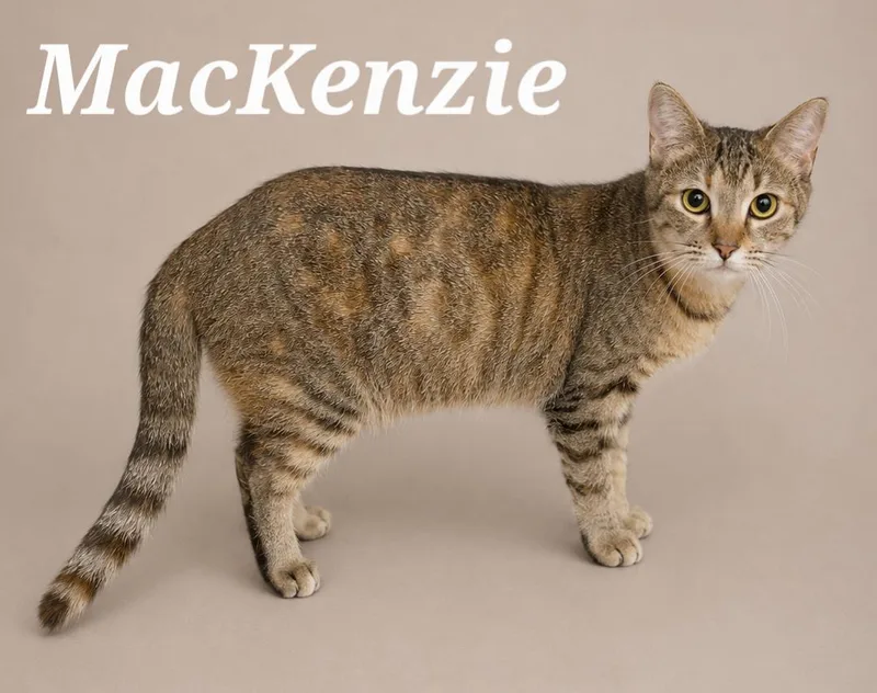 Mackenzie thumbnail 2