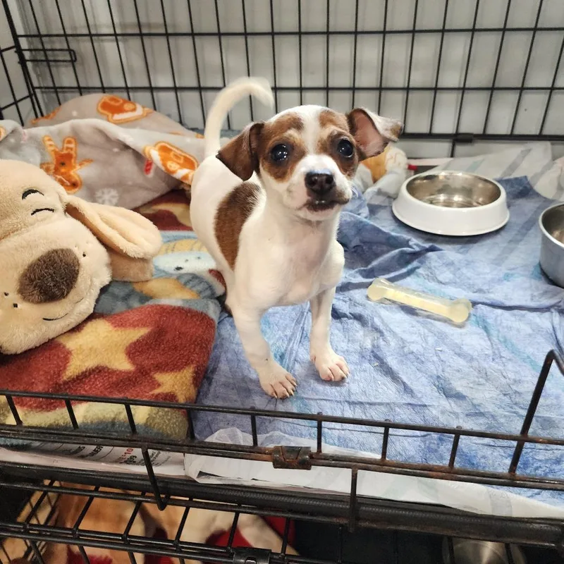 Valentina thumbnail 2