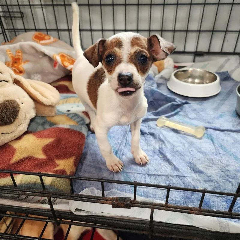 Valentina thumbnail 3