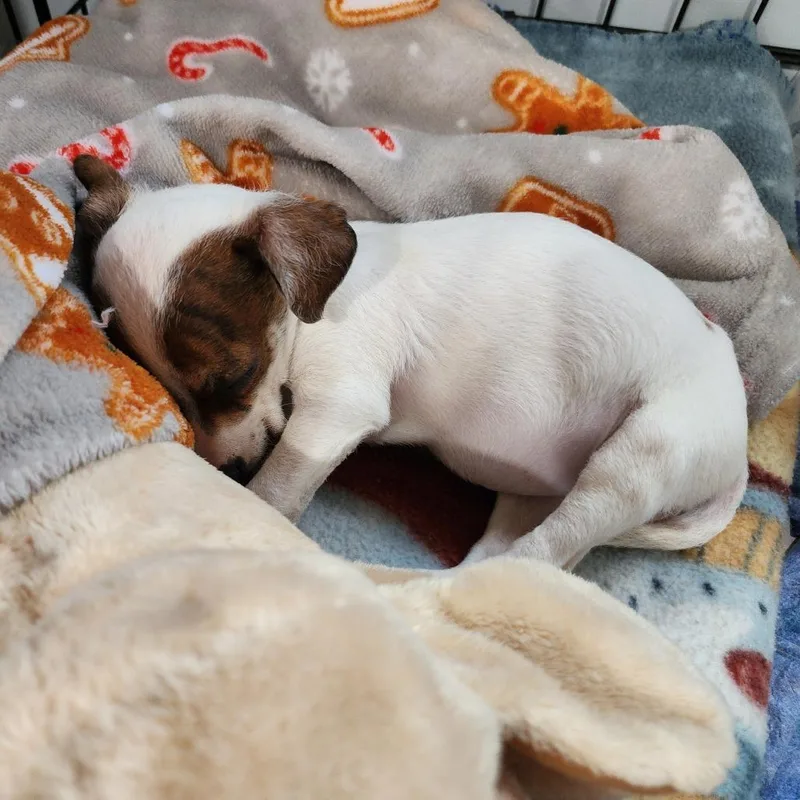 Valentina thumbnail 4