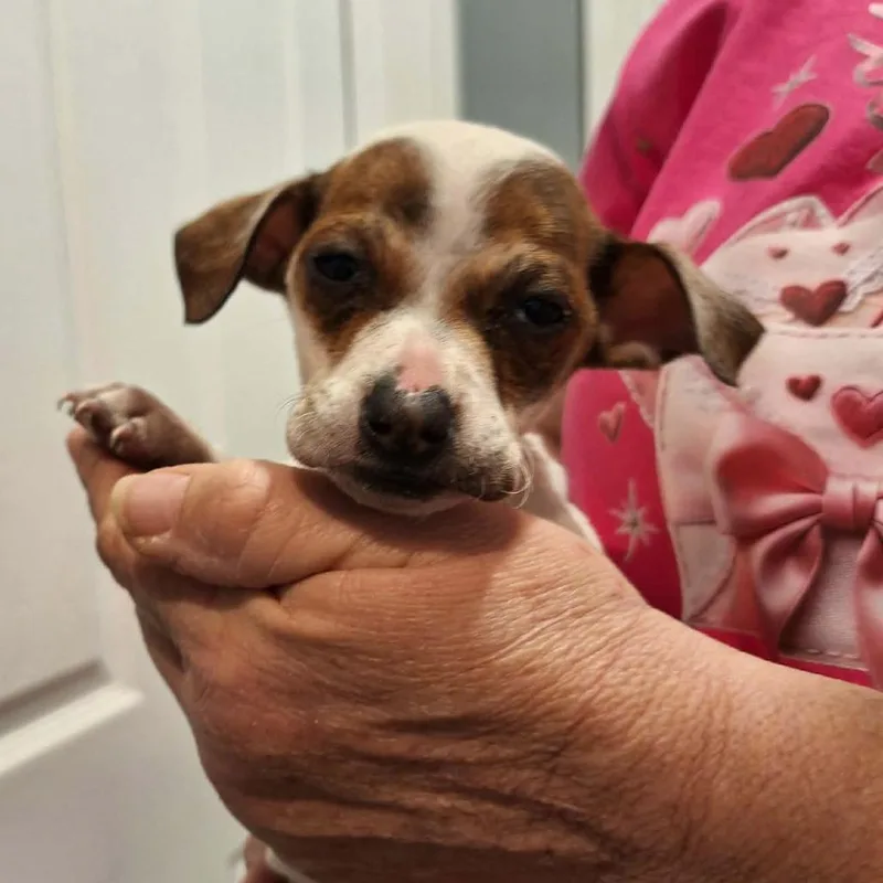 Valentina thumbnail 5