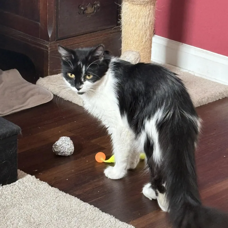 Catherine thumbnail 2