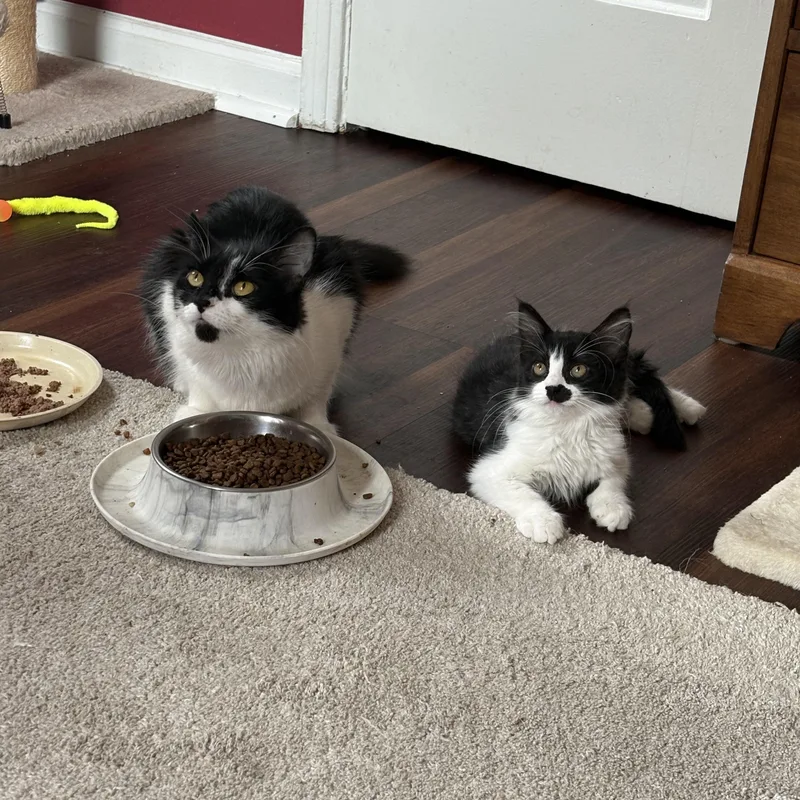 Catherine thumbnail 3