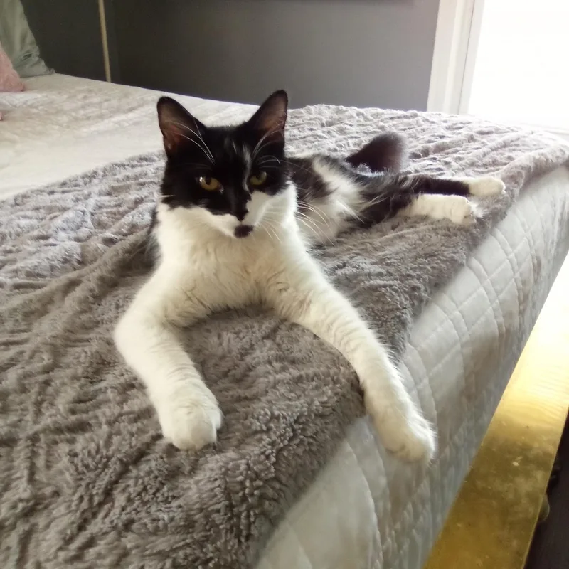 Catherine thumbnail 4