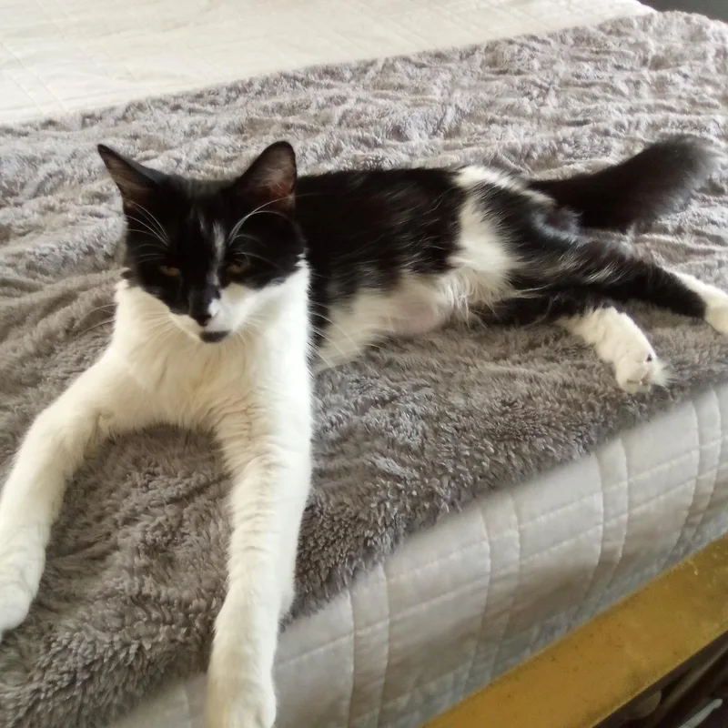 Catherine thumbnail 5