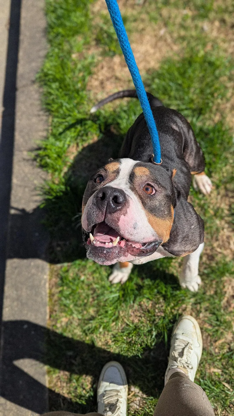 Bruce