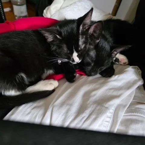 Finn and Fiona thumbnail 3