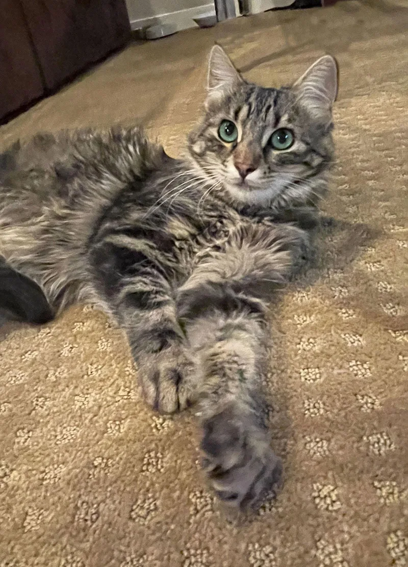 Hudson And Freckles thumbnail 3