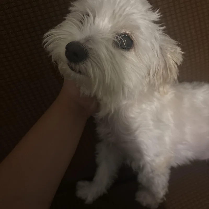 Lola Mae thumbnail 4