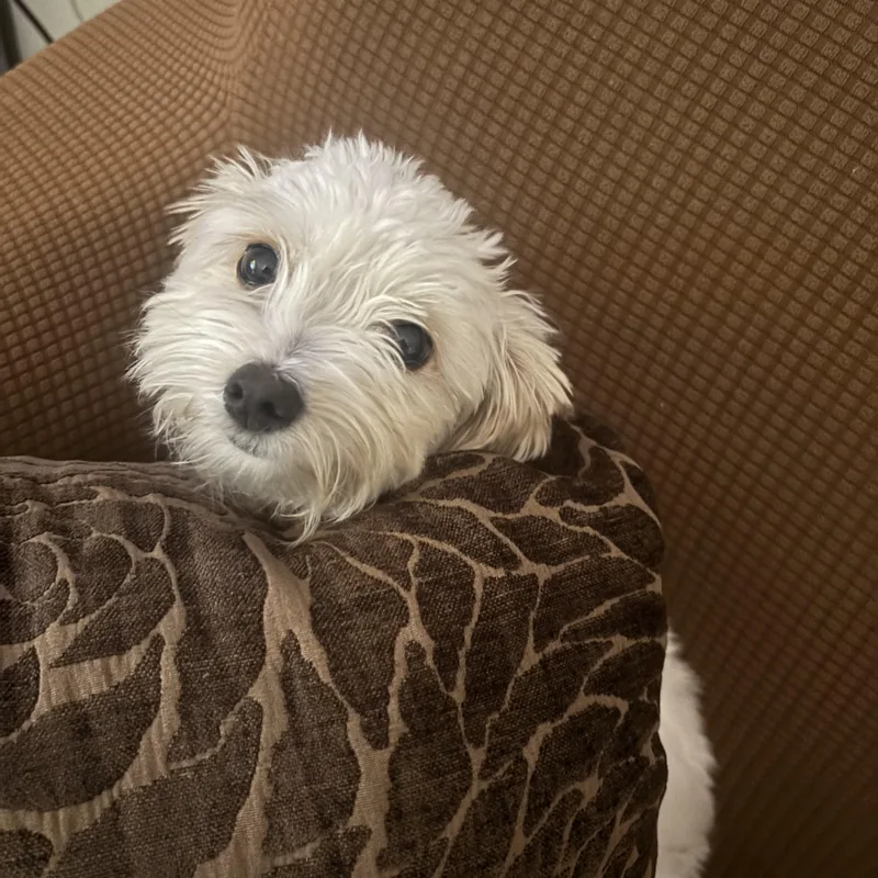 Lola Mae thumbnail 6