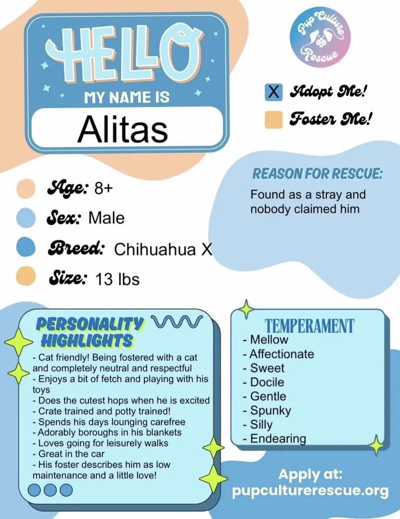 Alitas thumbnail 5