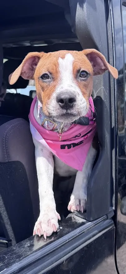 Winnie