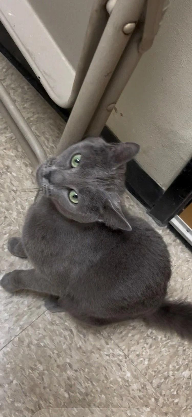 Jolee thumbnail 3
