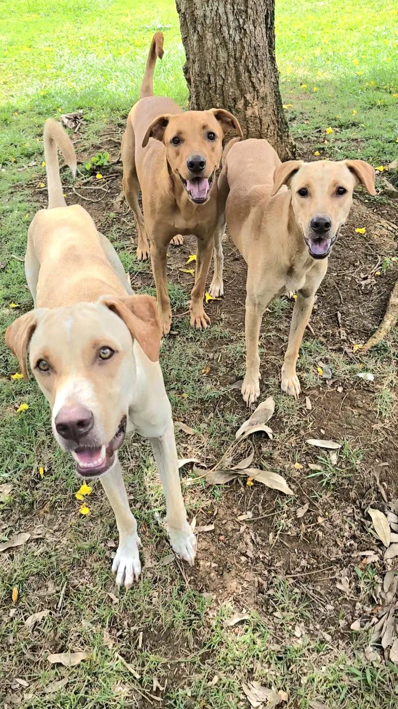 Latte "make Me Your thumbnail 2