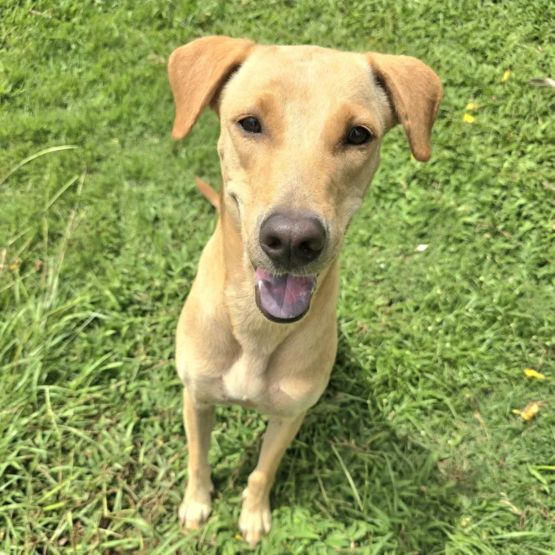 Latte "make Me Your thumbnail 3