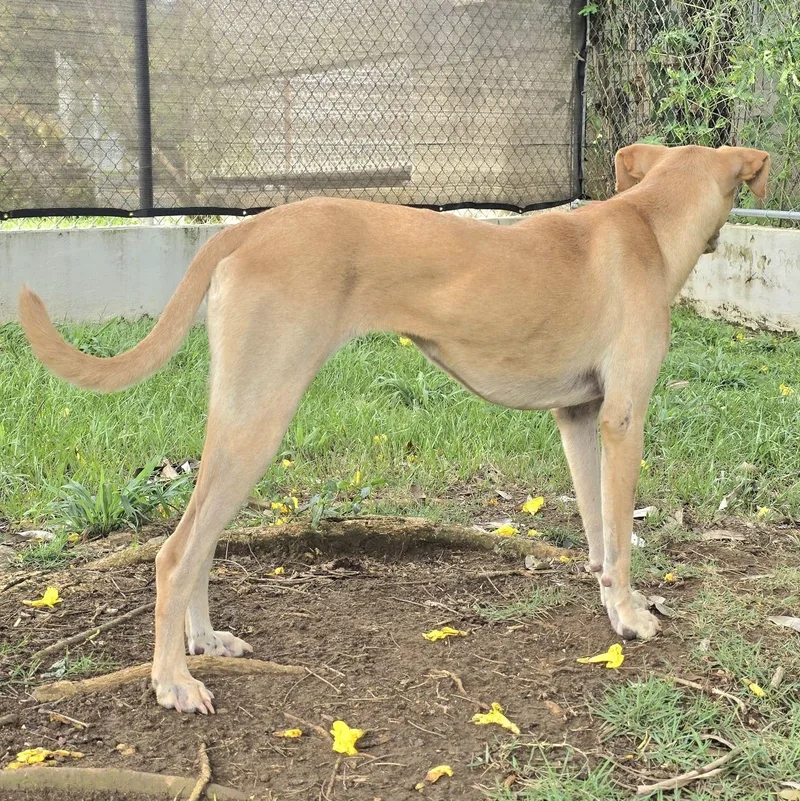 Latte "make Me Your thumbnail 4