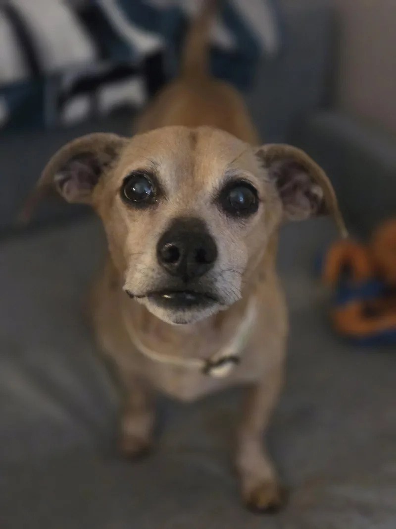 Jake thumbnail 3