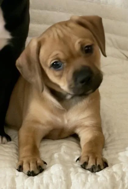 Morgan Gillory thumbnail 2