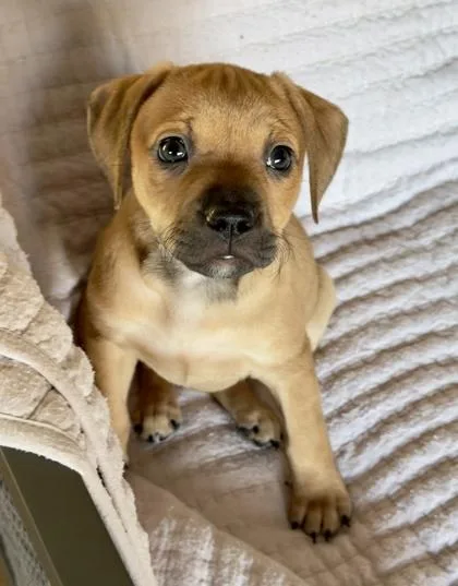 Morgan Gillory thumbnail 3