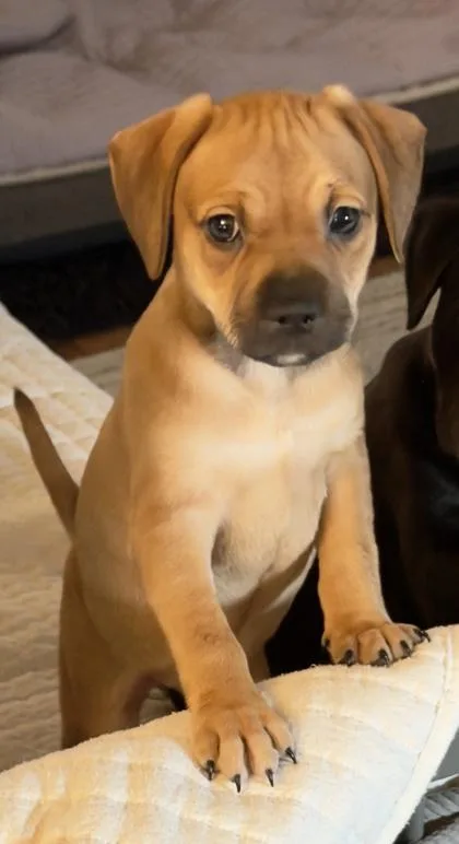 Morgan Gillory thumbnail 4