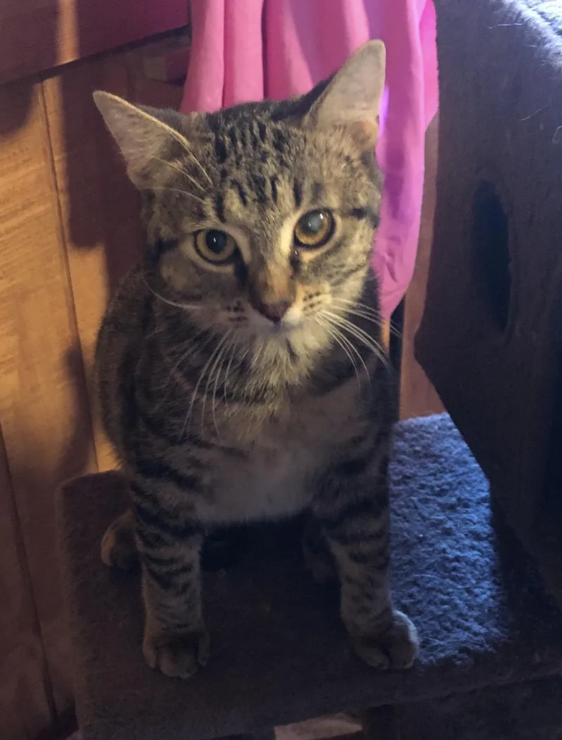 Princess thumbnail 5