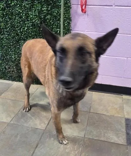 60638416 thumbnail 2