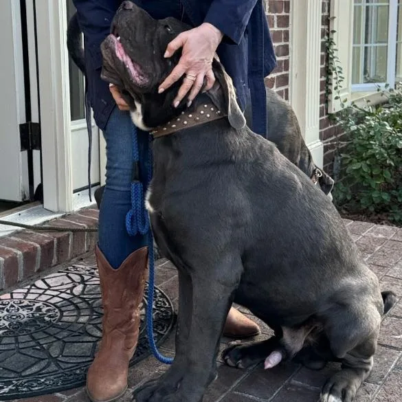 Max