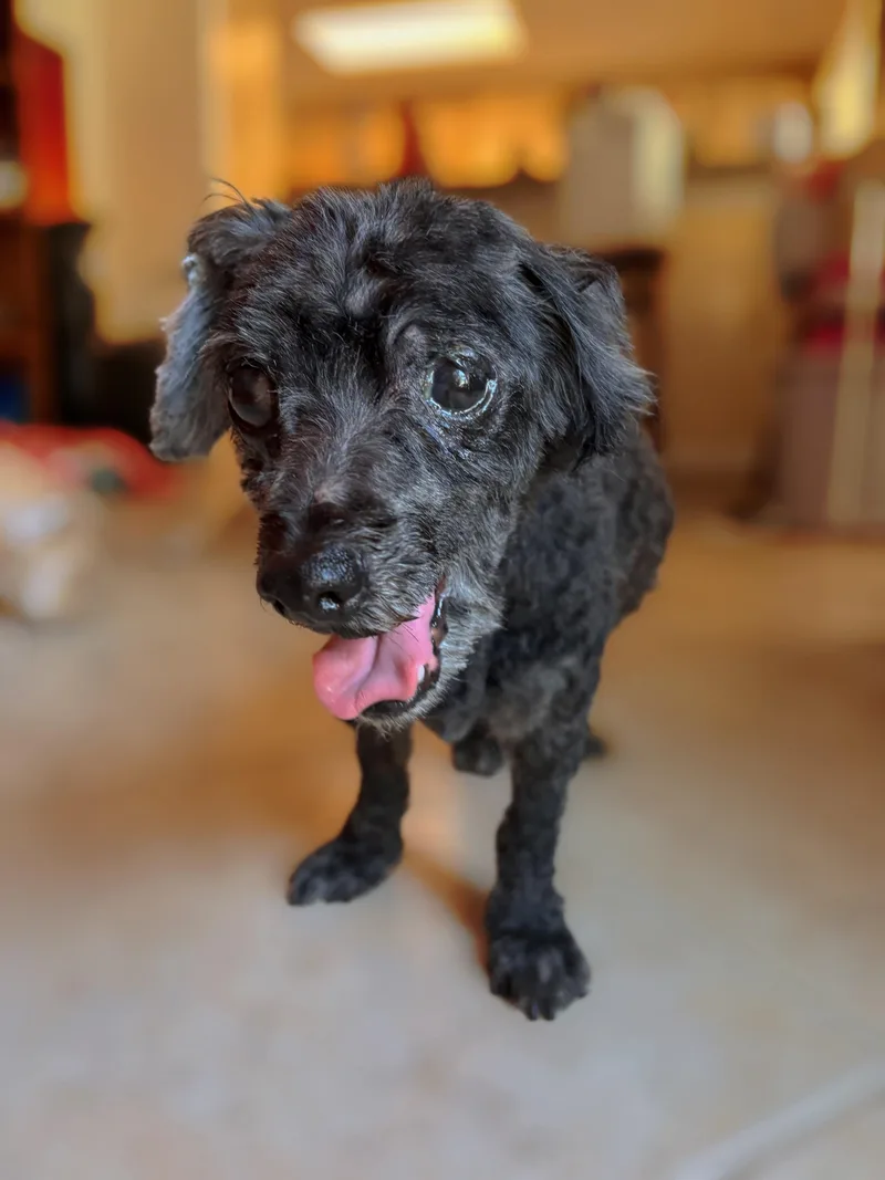 Doreen Fundle thumbnail 3