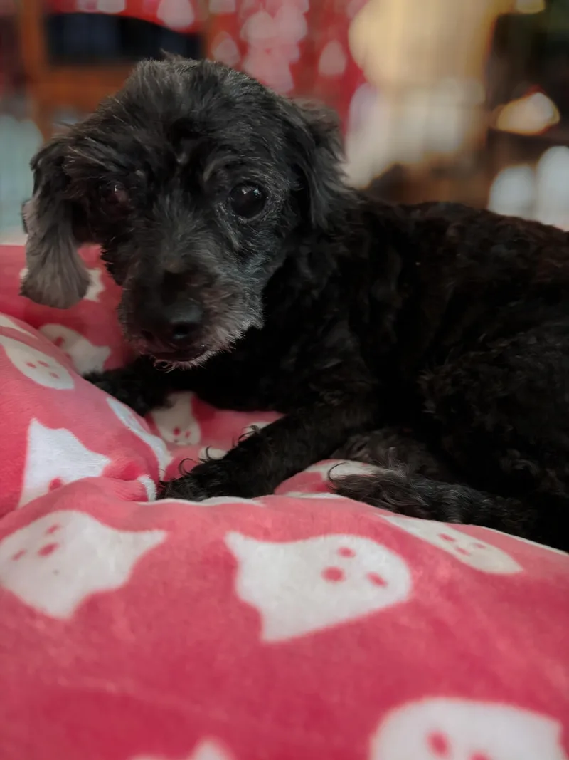 Doreen Fundle thumbnail 4