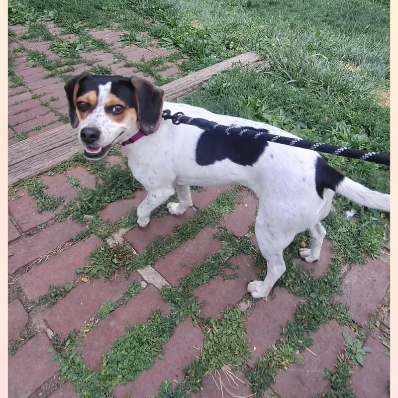 Mitzi