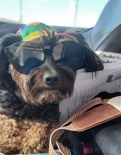 BENTLEY in RHODE ISLAND thumbnail 3