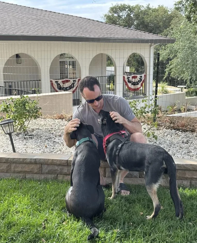 A young medium-sized female Black German Shepherd Dog dog named Star for adoption in Davis, CA