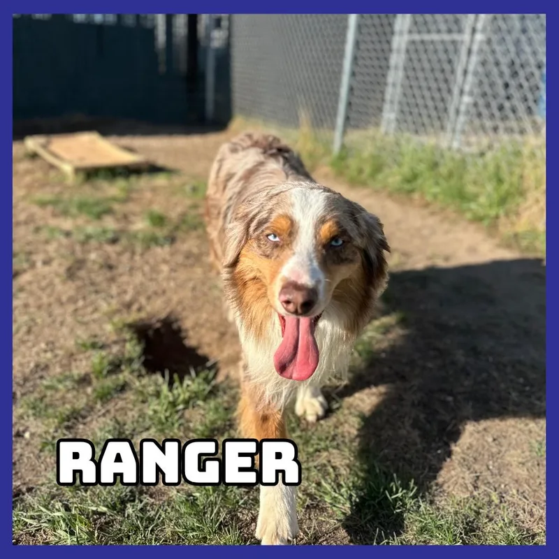 Ranger
