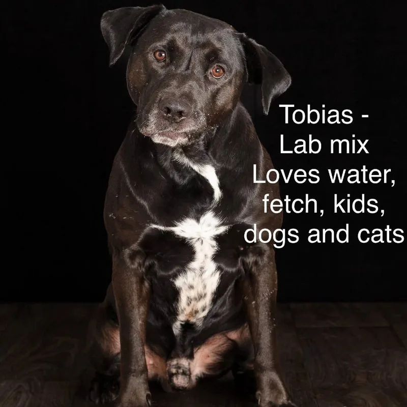 Tobias thumbnail 2