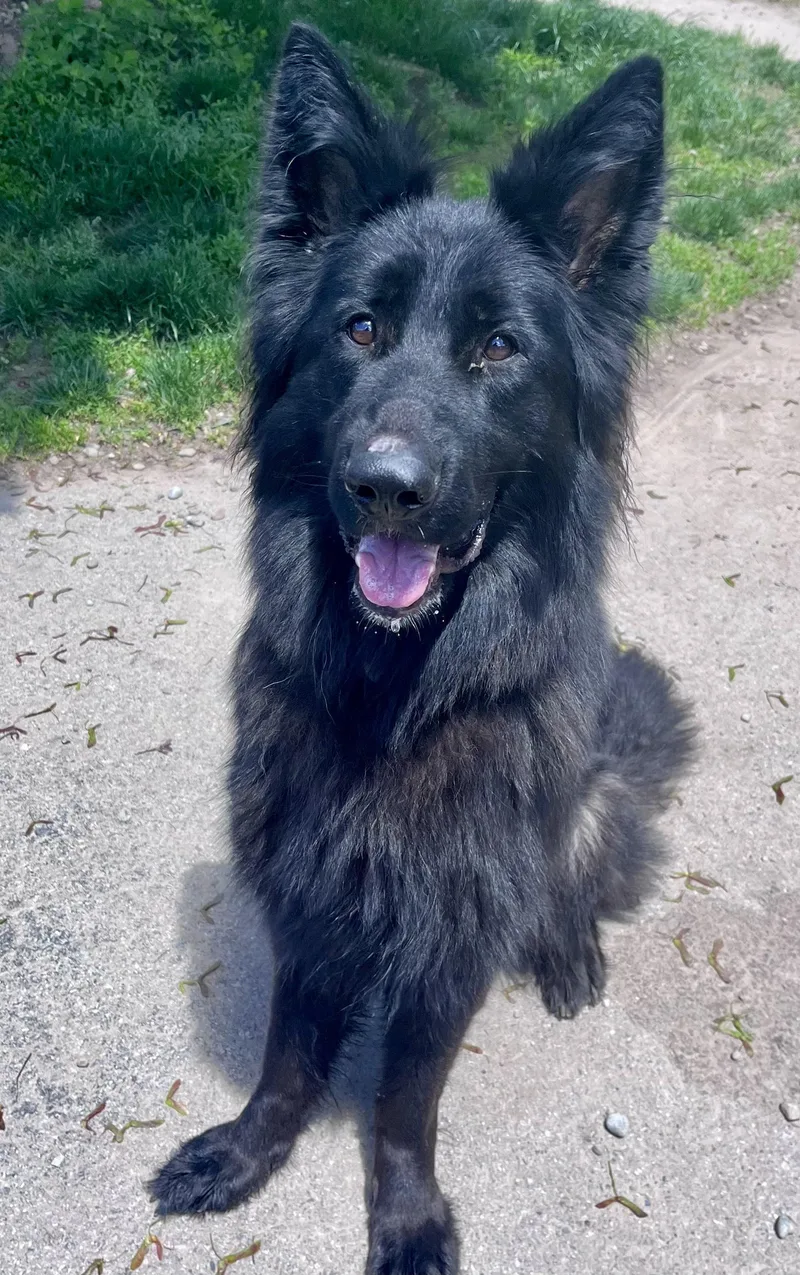 Ellie