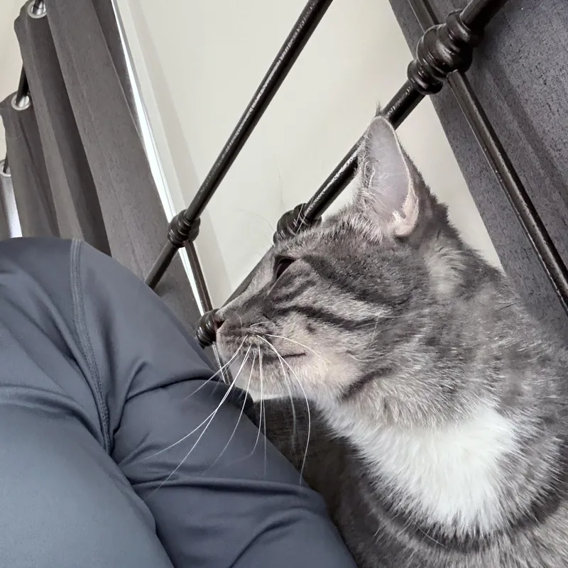 Stormypatience Is A Virtue