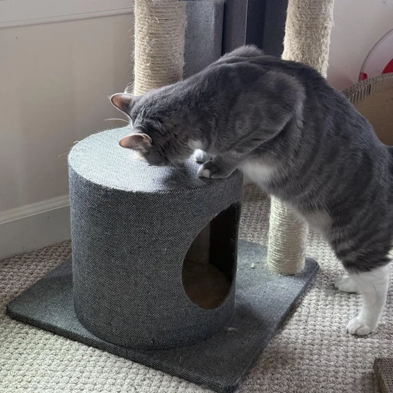 Stormypatience Is A Virtue thumbnail 2