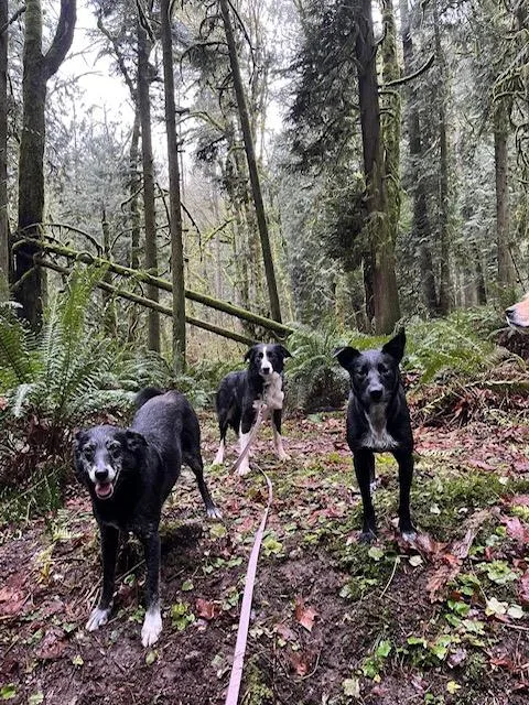 Isabelle thumbnail 2