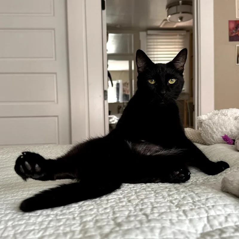 Tinkerbell thumbnail 3