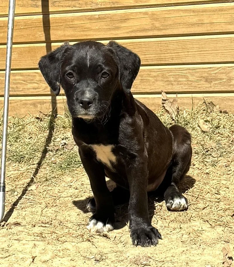 Rachel  Friends Girls thumbnail 3